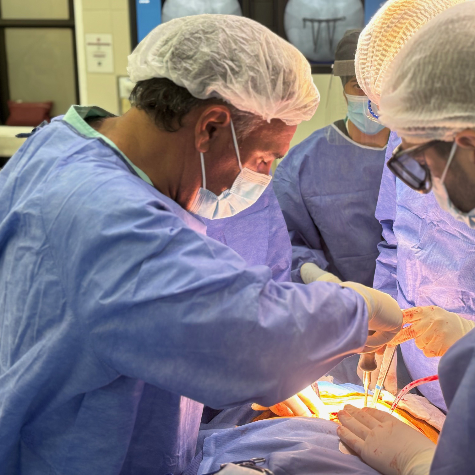 Acerca del Dr. Fernando Bidolegui